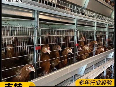 框架蛋鸡笼厂家养殖场层叠式鸡笼子H型鸡笼工业自动化养鸡设备图3