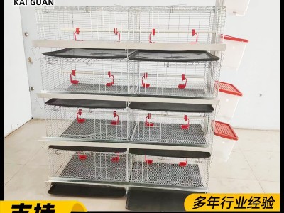 蛋鸡育雏笼阶梯式小鸡笼子雏鸡笼养鸡场设备热镀锌立式四层育雏笼图2