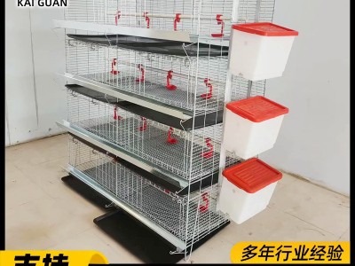 蛋鸡育雏笼阶梯式小鸡笼子雏鸡笼养鸡场设备热镀锌立式四层育雏笼图3