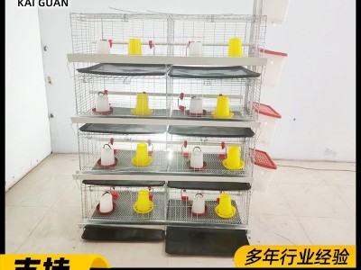 蛋鸡育雏笼阶梯式小鸡笼子雏鸡笼养鸡场设备热镀锌立式四层育雏笼图4
