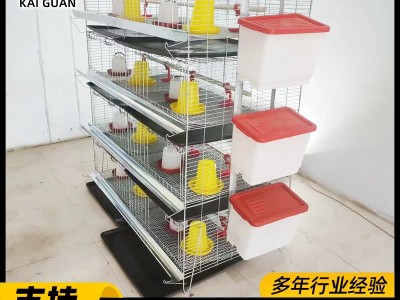 蛋鸡育雏笼阶梯式小鸡笼子雏鸡笼养鸡场设备热镀锌立式四层育雏笼图5