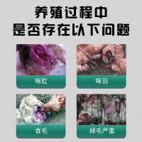 家禽通用 袋装2kg金微宝 库存充裕禽用微量元素预混合饲料