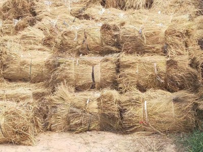 防沙治沙稻草 西藏新疆青海沙漠固沙治理草方格 麦草方格源头厂家图4