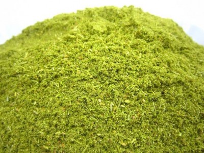 现货供应松针粉 可零售猪牛羊鸡鸭鹅家禽饲料添加剂原料 松针粉图2