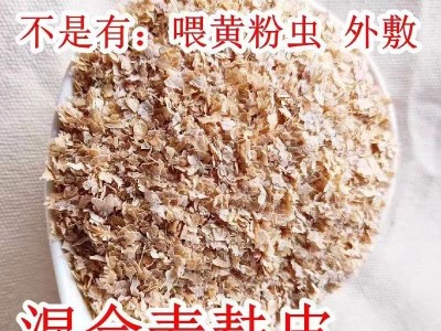 麦麸 厂家直销零售批发鸡鸭鹅猪牛羊饲料水产养殖 麸皮图4