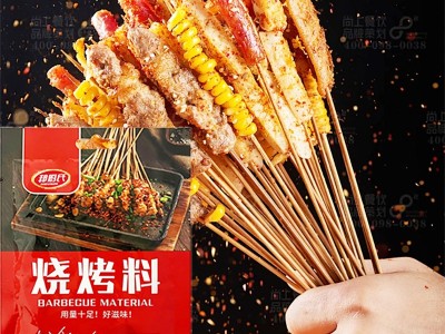 淄博烧烤料餐饮摆摊夜市烤串撒料干碟铁板蘸料烤肉香辣袋装烧烤料图3
