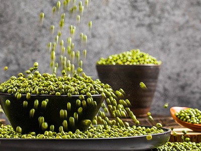 绿豆 易煮起沙 香甜细腻 新鲜现货颗粒饱满 厂家批发 价格可议图2