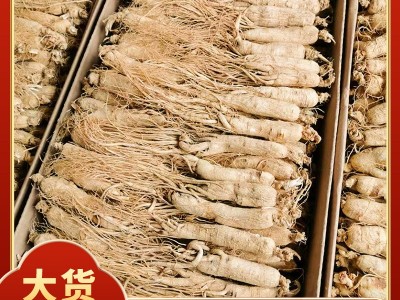 厂家批发产地吉林长白山人参全须现货500克一盒中药材滋补人参图2