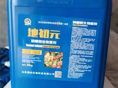 地初元 土壤熏蒸剂 焖棚剂 微生物菌肥 现货速发图3