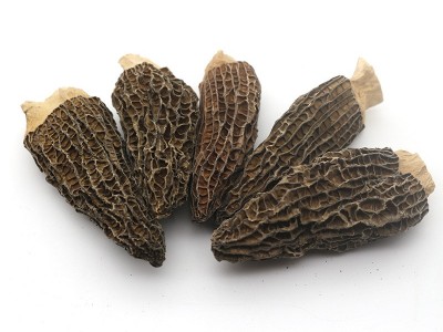 春生堂云南剪柄羊肚菌干货 食用菌散装黑身厚肉剪脚厂家批发图5