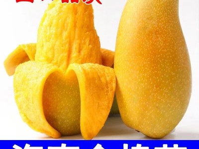小台芒图2