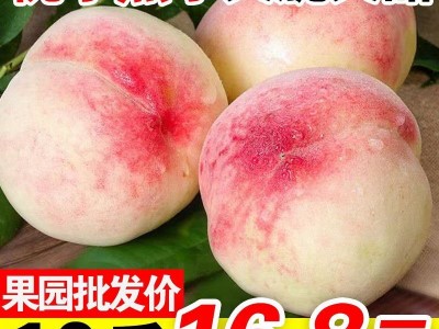 水蜜桃图5