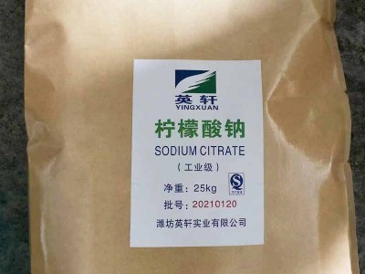 厂家供工业级柠檬酸钠 清洗除垢柠檬酸钠 轩奕化工 量大从优图4