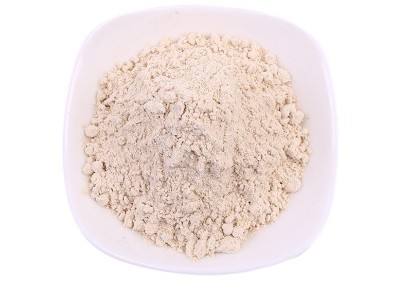 厂家供应 打磨精细散装蒜粉末 食用调料配料烧烤腌肉调味品蒜粉图4