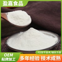 苹果粉 水溶性苹果粉 苹果醋粉 苹果果粉 苹果汁粉 苹果果汁 现货