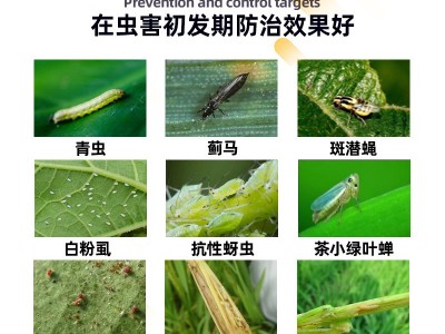 杀虫剂全打蓟马粉虱青虫速效持效高效氯氟氰菊酯格力高万能杀虫剂图2