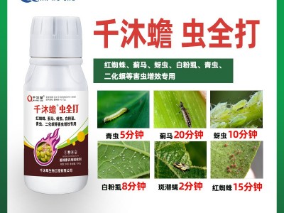 杀虫剂全打蓟马粉虱青虫速效持效高效氯氟氰菊酯格力高万能杀虫剂图3