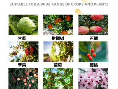 杀虫剂全打蓟马粉虱青虫速效持效高效氯氟氰菊酯格力高万能杀虫剂图4