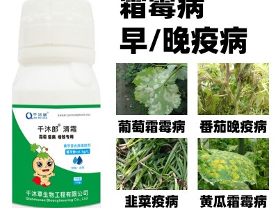 杀菌剂清霜霉早疫晚疫增威赢绿银法利速效持效混配性好安全杀菌剂图3