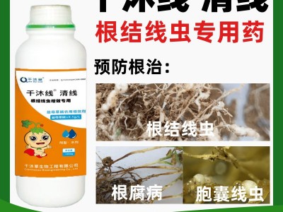 杀线剂清线虫卵双打不伤根不伤苗路富达阿维菌素噻唑膦杀虫剂包邮图1