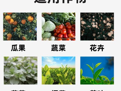 杀线剂清线虫卵双打不伤根不伤苗路富达阿维菌素噻唑膦杀虫剂包邮图2