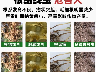 杀线剂清线虫卵双打不伤根不伤苗路富达阿维菌素噻唑膦杀虫剂包邮图3