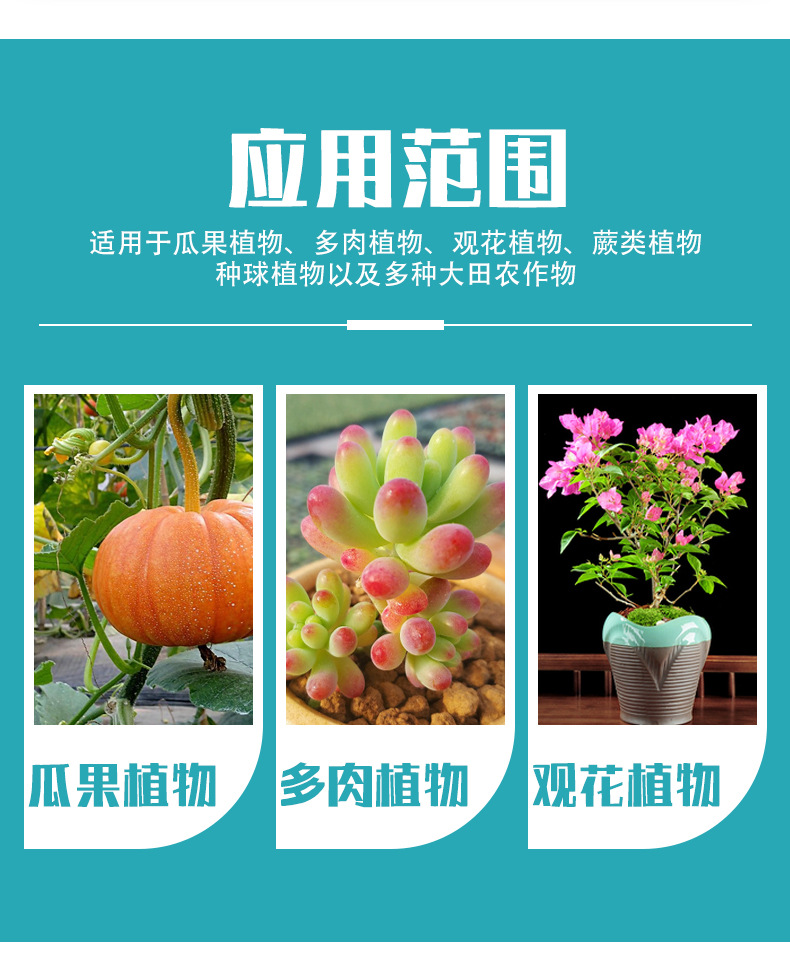 液体氮肥_09