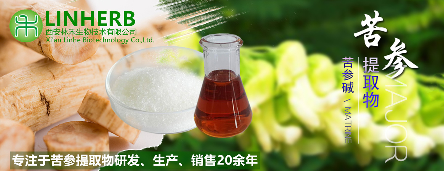 苦参提取物详情抬头_副本1