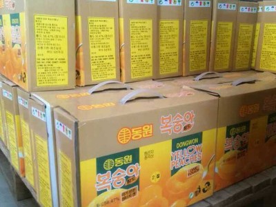 新鲜黄桃罐头425g*12罐 整箱批发砀山糖水黄桃水果捞罐头礼盒装图4