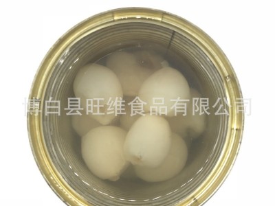 糖水荔枝水果罐头300g*6罐/箱厂家直销批发可出口内销帖牌招商图5