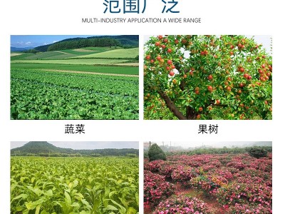 厂家批发农用颗粒硼 微量元素硼肥 果蔬大田农作物叶面喷施硼颗粒图3