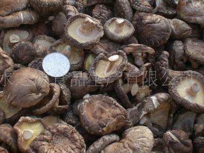 现货供应库存农产品食用菌干货林中珍西峡食品出口干品香菇图2