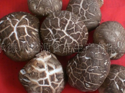 现货供应库存农产品食用菌干货林中珍西峡食品出口干品香菇图3
