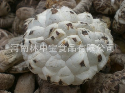 西陕野生散货干香菇批发当年加工贮存干货西峡出口干香菇图4