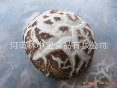 西陕野生散货干香菇批发当年加工贮存干货西峡出口干香菇图5
