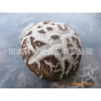西陕野生散货干香菇批发当年加工贮存干货西峡出口干香菇