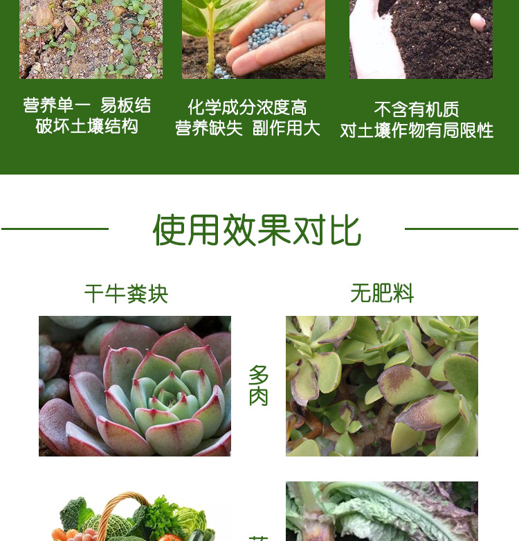 晒干牛粪_06.jpg