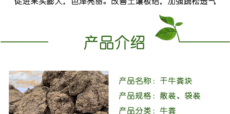 晒干牛粪_04.jpg