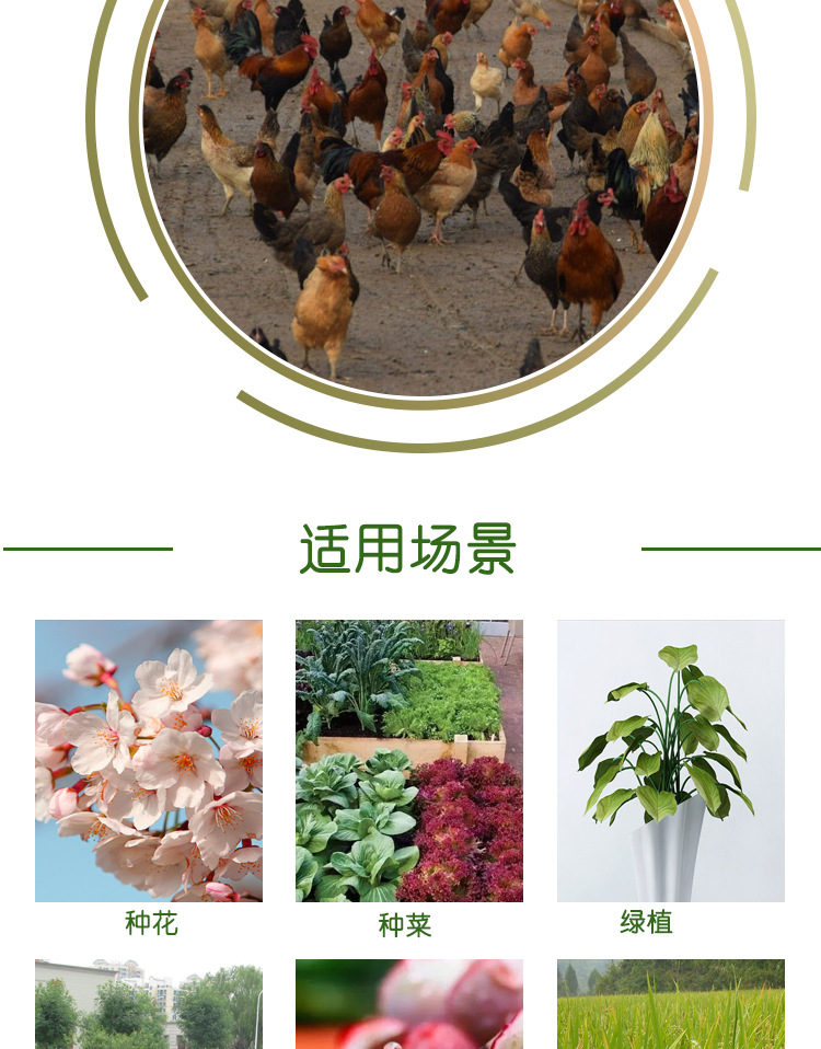 精致有机肥详情_01.jpg