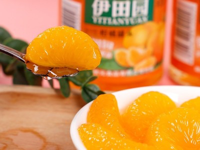 伊田园荔枝罐头橘子罐头黄桃罐头260gX6/4瓶休闲零食水果罐头饮品图4
