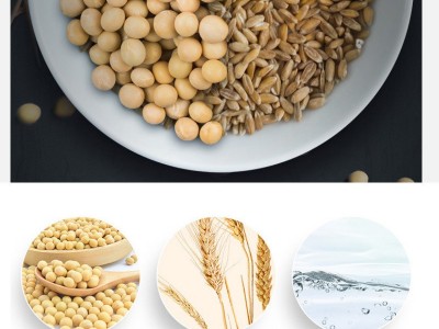 海天生抽酱油500ml小瓶装家用炒菜凉拌火锅酿造黄豆酱油点蘸调料图2