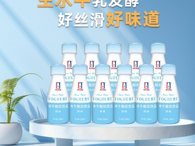 厂家直供 源头批发 南国乳业水牛酸奶饮品原味乳饮品200ml*12瓶图2