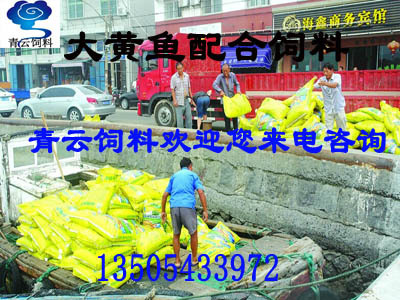 大黄鱼配合饲料3
