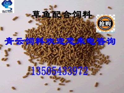 厂家供应淡水鱼饲料草鱼饲料河南山西安徽草鱼配合饲料代理商图2