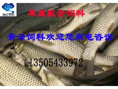 厂家供应淡水鱼饲料草鱼饲料河南山西安徽草鱼配合饲料代理商图5