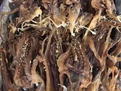 鱿鱼须 干鱿鱼 山东鱿鱼 可泡发 大个头 产地货图2