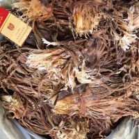 鱿鱼须 干鱿鱼 山东鱿鱼 可泡发 大个头 产地货