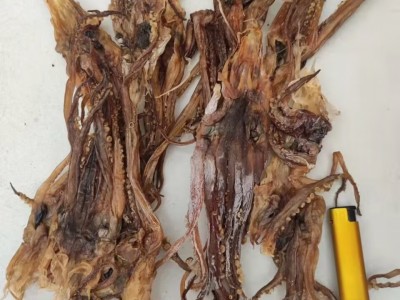 鱿鱼须 干鱿鱼 山东鱿鱼 可泡发 大个头 产地货图5