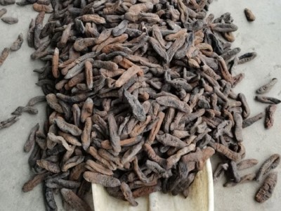 大号茄参 厂家直销 海茄子参 海番薯 原货八成干 个大肉厚图2