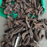 大号茄参 厂家直销 海茄子参 海番薯 原货八成干 个大肉厚
